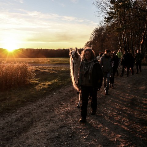 Mittsommer 2, &copy; eifelnomaden, J. Baums