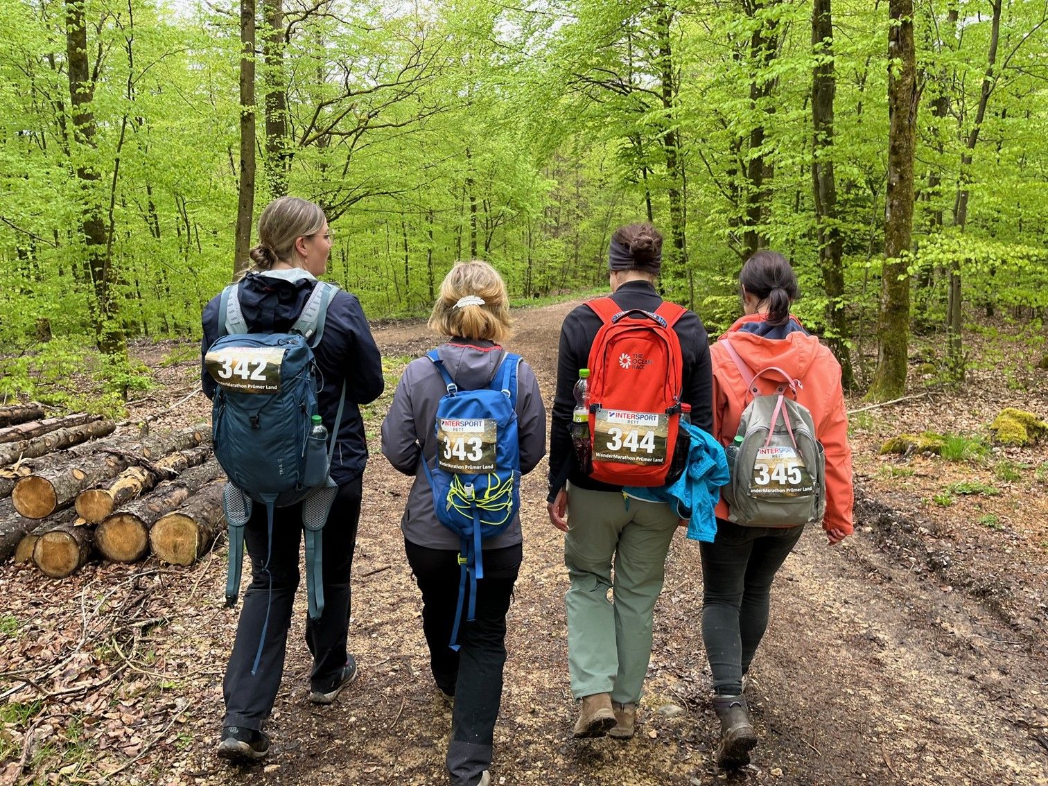 4 Wanderer im Wald beim WanderMarathon