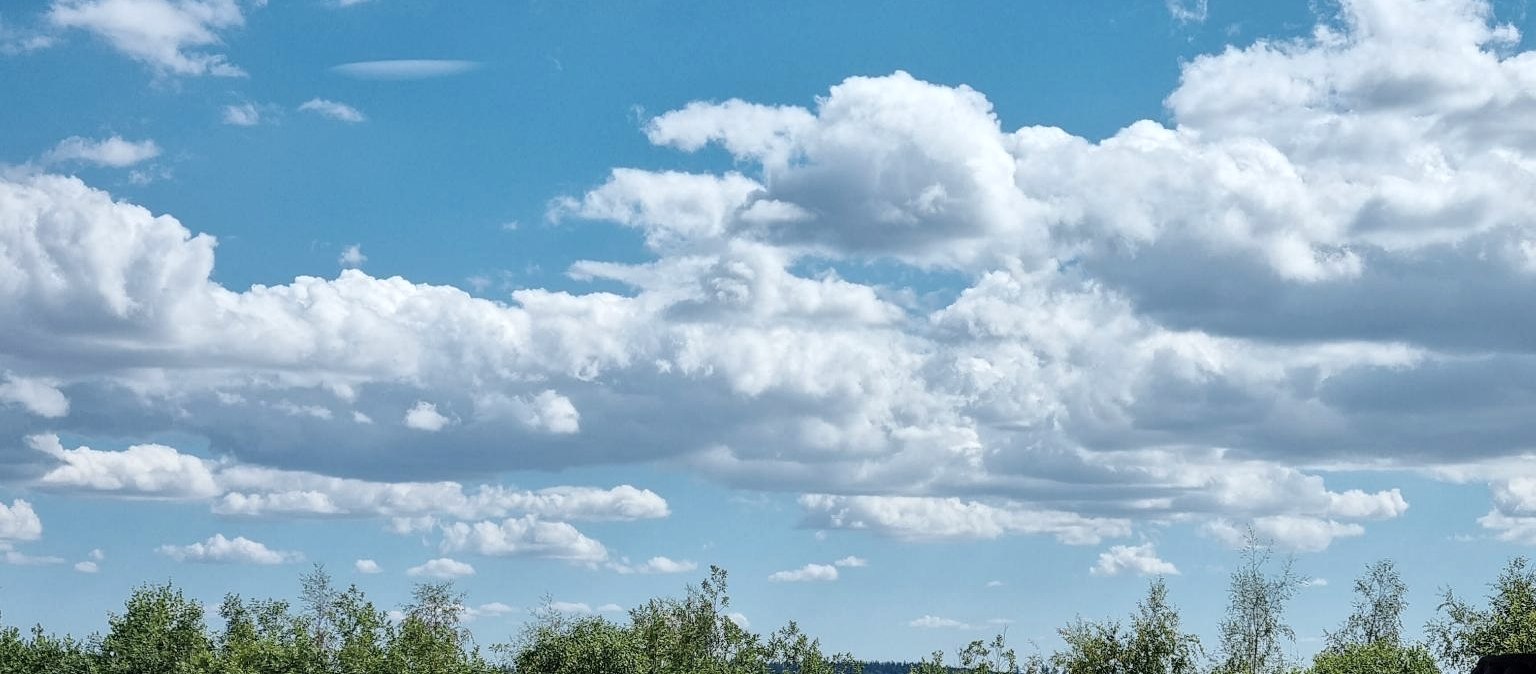 Aussicht Fassrunde, &copy; Wein mit Aussicht
