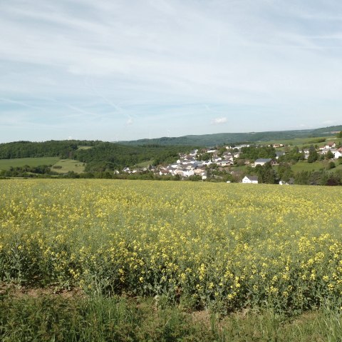 Long-distance view