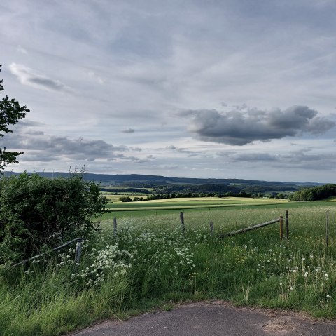 Vue du synclinal calcaire oriental de B&uuml;desheim, &copy; Tourist-Information Pr&uuml;mer Land Elke Dahm