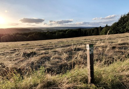 Mehlental Wandern WW8 (8), &copy; Tourist-Information Pr&uuml;mer Land Sebastian Wiesen