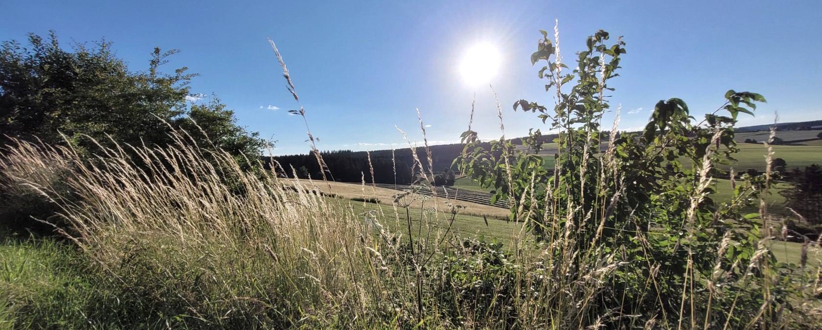 Wandern Natur 1, &copy; Tourist-Information Pr&uuml;mer Land Sebastian Wiesen