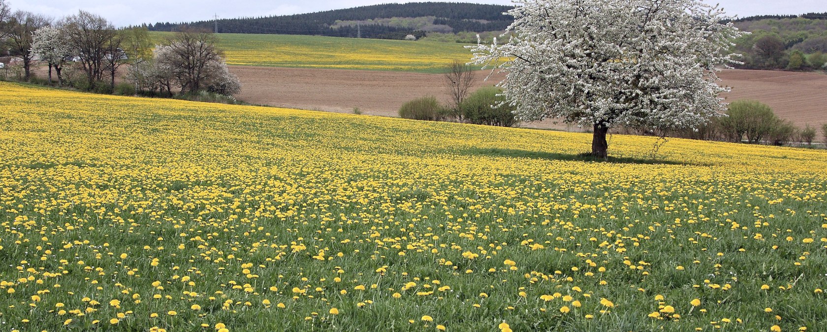 Brandscheid, © TI Prümer Land