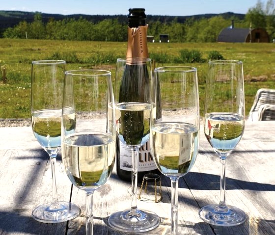 Sekt, &copy; Wein mit Aussicht, M. Kolbe