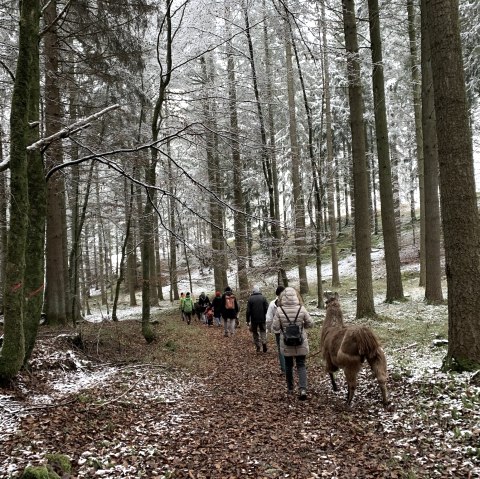 Wanderung 2, &copy; eifelnomaden, J. Baums