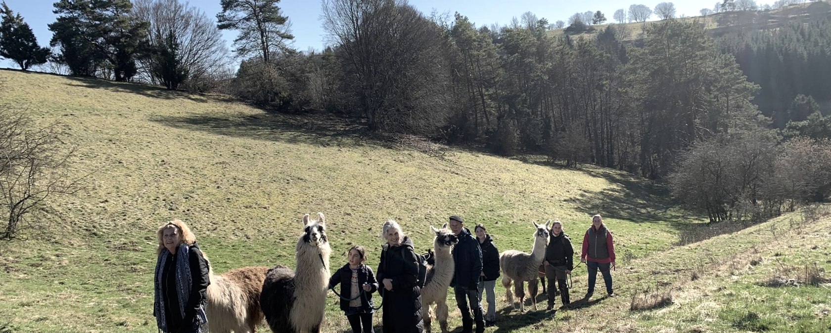Lama-Spaziergang eifelnomaden, &copy; eifelnomaden, J. Baums