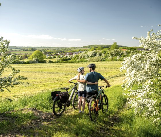 View of the southern Eifel with orchards, Nims cycle path, &copy; Eifel Tourismus GmbH, Dominik Ketz
