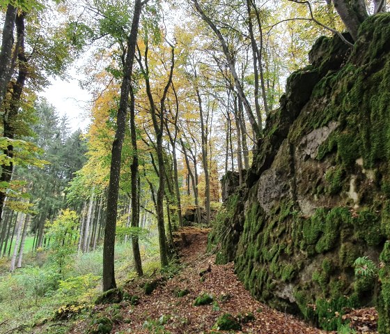 Sch&ouml;necker Schweiz, &copy; TI Pr&uuml;mer Land, S. Wiesen