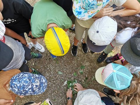 Eine Gruppe von Kindern steht im Kreis und schaut aufmerksam auf den Boden. Sie tragen verschiedene Hüte und untersuchen etwas im Erdreich.