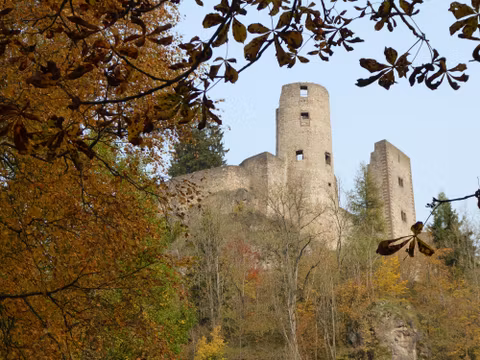 Eine alte Burgruine auf einem Hügel, umgeben von buntem Herbstlaub. Der klare Himmel bietet einen schönen Kontrast zur historischen Architektur.
