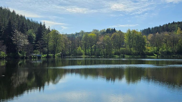 Un lac paisible entouré d'arbres verts et de douces collines. Le ciel est clair avec quelques nuages.