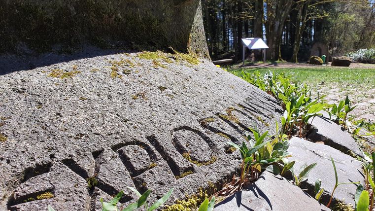 Ein naher Blick auf einen Stein mit der eingravierten Aufschrift „EXPLOSION“. Umgeben von frischem Grün und Bäumen im Hintergrund.