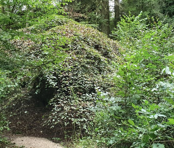 KrausbuchenWeg_Sch&ouml;necker Schweiz_Sebastian Wiesen_10.2021 (44), &copy; Tourist-Information Pr&uuml;mer Land, Sebastian Wiesen