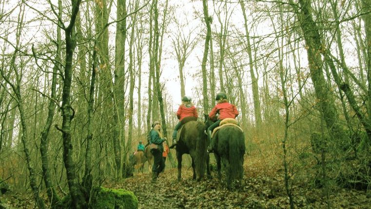 Reiter auf Pferden erkunden einen Waldweg im Herbst. Die Bäume sind kahl und der Boden ist mit Laub bedeckt.