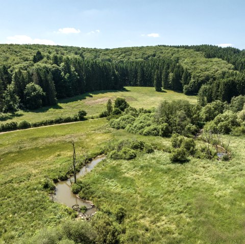 Alfbachtal, &copy; Eifel Tourismus GmbH, D. Ketz