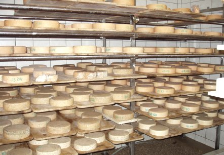 K&auml;serei Hof Steinrausch, &copy; TI Pr&uuml;m