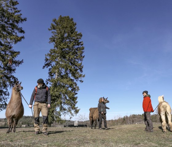 Eifelnomaden Hocheben Schönecker Schweiz, © Eifelnomanden, Julietta Baums