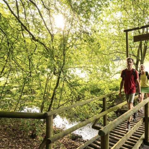 Stream trail in the NaturWanderPark delux, Ernst Bridge over the Alfbach stream, © Eifel Tourismus GmbH, D. Ketz