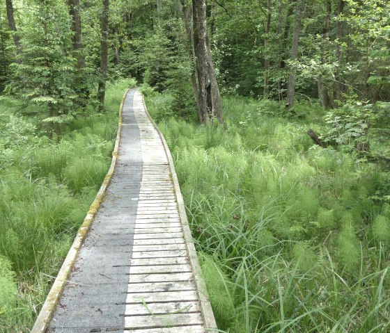 Moore-Pfad, &copy; G. Sternitzke