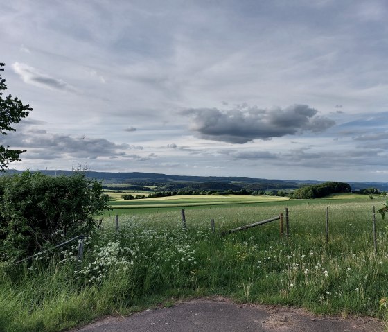 Uitzicht op de oostelijke kalksteengroeve Büdesheim, © Tourist-Information Prümer Land Elke Dahm
