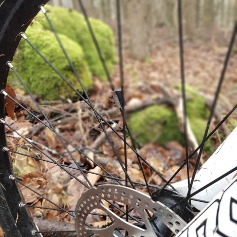 Rad im Wald, &copy; Sebastian Wiesen