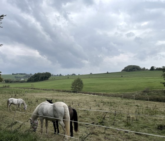 Aussicht nach Brandscheid, &copy; A.Heinen
