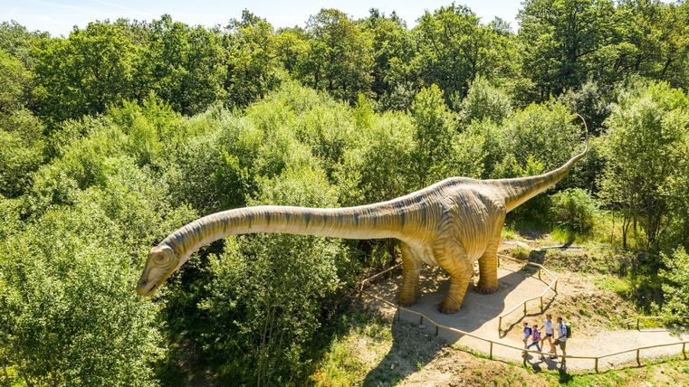 Un grand dinosaure de près, entouré d'arbres et d'un chemin. Un groupe de personnes se tient en bas et regarde le modèle.