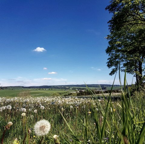 Panoramablick Olzheim, © Tourist-Information Prümer Land