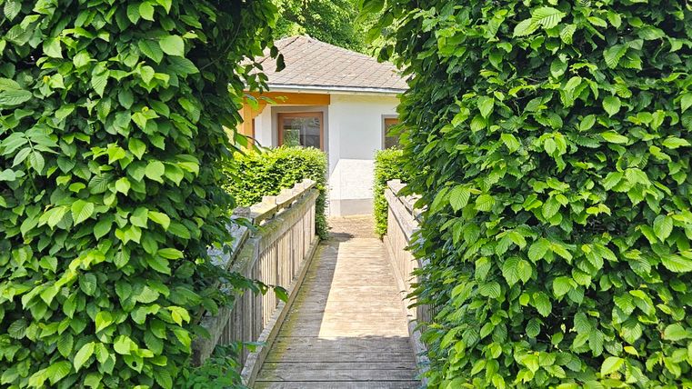 Ein bogenförmiger Durchgang aus grüner Pflanzenhecke führt zu einem Holzsteg. Im Hintergrund ist ein helles Gebäude sichtbar.