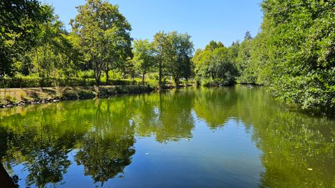 Ein ruhiger See umgeben von grünen Bäumen und klarem Himmel. Das Wasser spiegelt die Natur wider und schafft eine friedliche Atmosphäre.