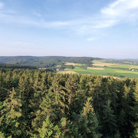 Eifel-Blick Weinsheim, &copy; S. Wiesen