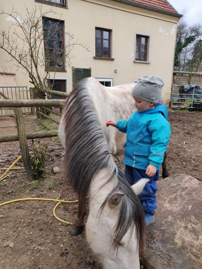 Ein kleines Kind steht neben einem weißen Pferd auf einem Bauernhof. Das Kind streichelt das Pferd und trägt eine blaue Jacke und eine Mütze.