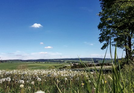 Panoramablick Olzheim, © Tourist-Information Prümer Land