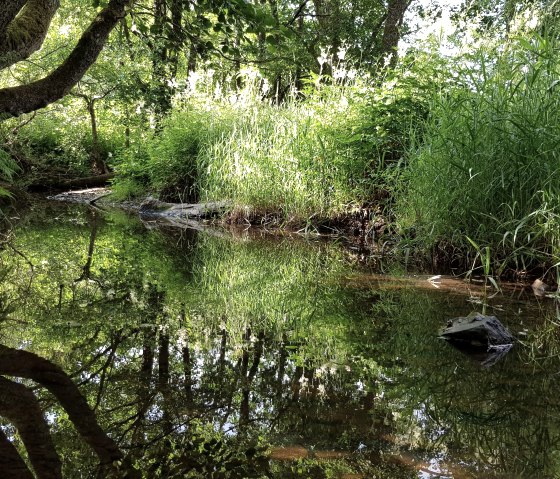 Mehlenbach , &copy; Sebastian Wiesen