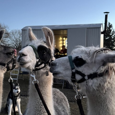 Winterwanderung 2, &copy; eifelnomaden, J. Baums