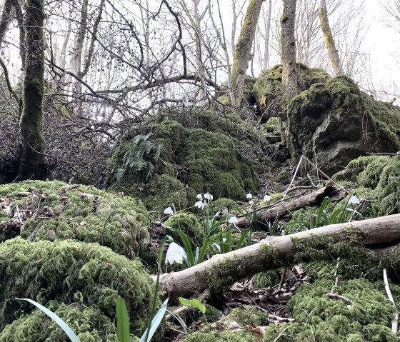 IMG_3865-Sch&ouml;necker Schweiz,M&auml;rzenbecher (5), &copy; Eifel Tourismus GmbH