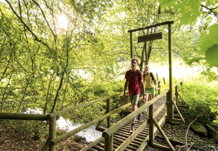 Bach-Pfad im NaturWanderPark delux, Ernst-Br&uuml;cke &uuml;ber den Alfbach, &copy; Eifel Tourismus GmbH, D. Ketz