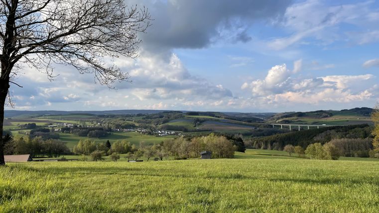 Eine weitläufige grüne Landschaft mit sanften Hügeln und einem blauen Himmel. Im Hintergrund sind Wolken und eine kleine Ortschaft zu sehen.