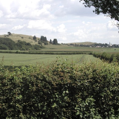 Landschaft bei Schwirzheim, © Tourist-Information Prümer Land