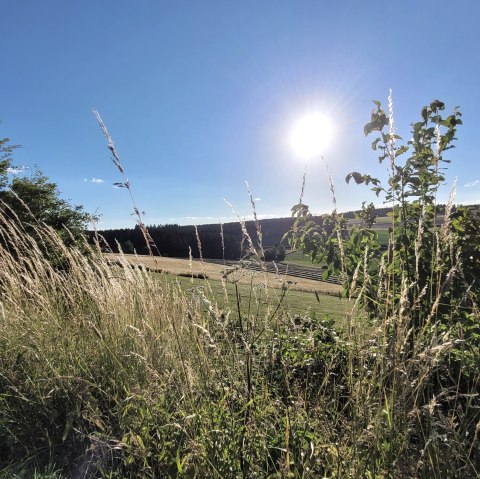 Wandern Natur 1, &copy; Tourist-Information Pr&uuml;mer Land Sebastian Wiesen