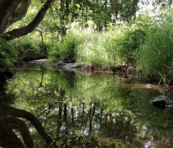 Mehelnbach near Niederpr&uuml;m, &copy; Tourist-Information Pr&uuml;mer Land Sebastian Wiesen