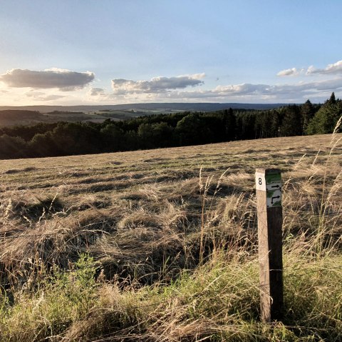 Mehlental Wandern WW8 (8), &copy; Tourist-Information Pr&uuml;mer Land Sebastian Wiesen