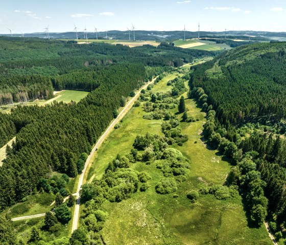 The Eifel-Ardennes cycle path leads through the green landscape of the Eifel, © Eifel Tourismus GmbH, Dominik Ketz