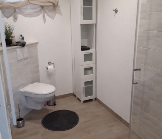 WC dans la salle de bain