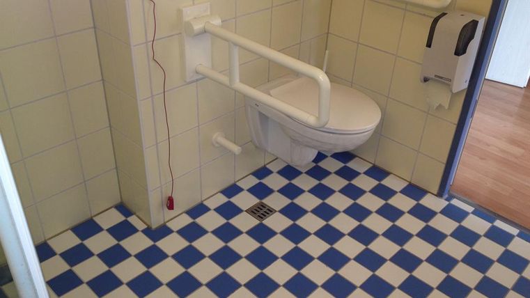 Ein Badezimmer mit einem WC und Haltegriffen. Der Boden ist mit einem blauen und weißen Schachbrettmuster gefliest.