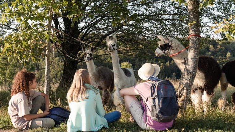 Drei Kinder sitzen im Gras und beobachten liebenswerte Alpakas. Die Tiere stehen entspannt neben einem Baum.