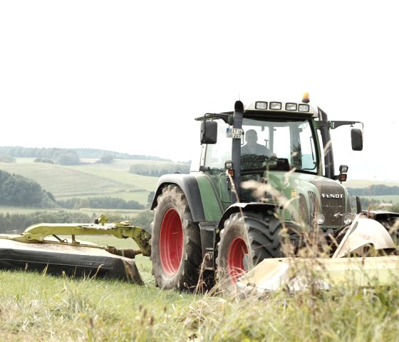 Mowing with the tractor