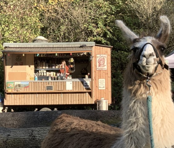 Schlemmen 2, &copy; eifelnomaden, J. Baums