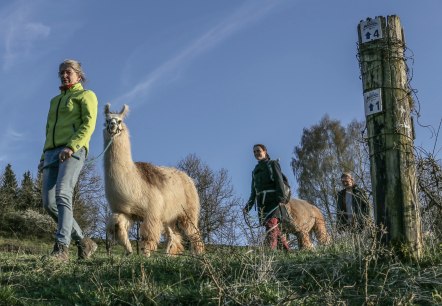 Wanderung 2, &copy; eifelnomaden, J. Baums